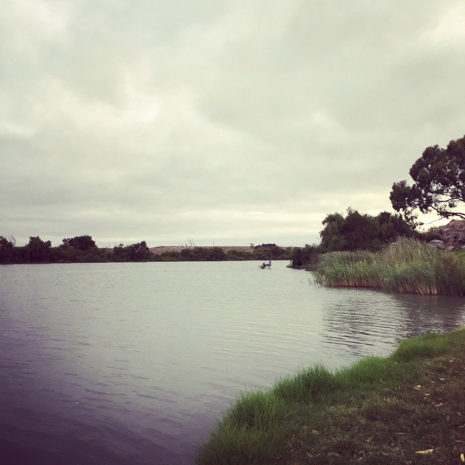 MorningWalk20160314