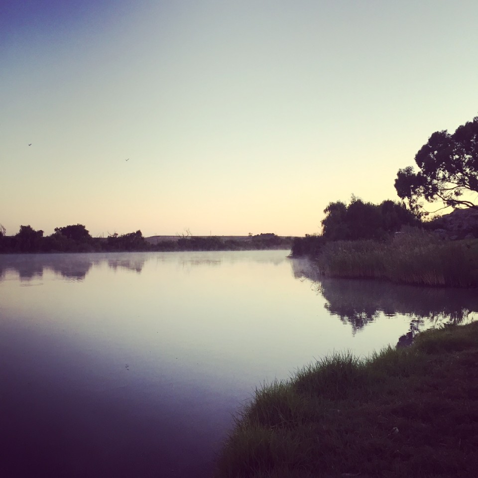 Morning Walk