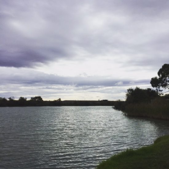 Morning Walk