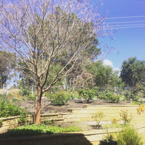 studio view
